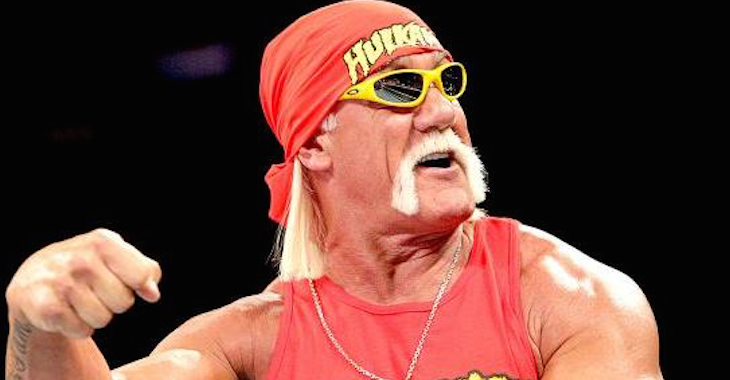 UFC Founder Shuts Down Hulk Hogan -- 'Nobody Asked Him to Fight For Us ...