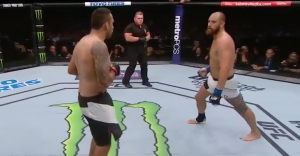 Fabricio Werdum vs. Travis Browne