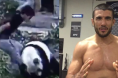 viral panda video