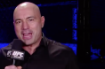 Joe Rogan