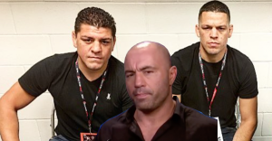 Nick Diaz Nate Diaz Joe Rogan