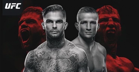 Video Watch Tj Dillashaw Ko Cody Garbrandt At Ufc 217