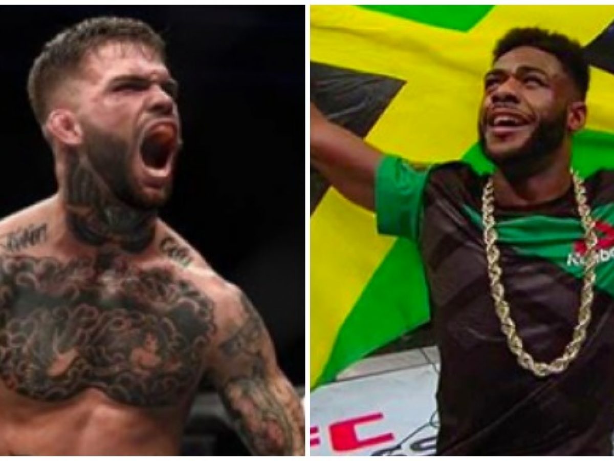 Cody Garbrandt And Aljamain Sterling Get Heated On Twitter Racism Accusations Surface Bjpenn Com