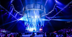 Bellator flying cage