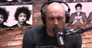 Joe Rogan, Floyd Mayweather, UFC