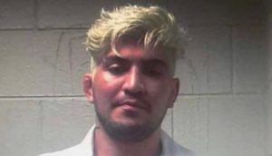 Dillon Danis, Arrested, Bellator