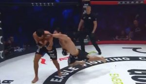 Mehdi Dakaev, EFC 43, MMA