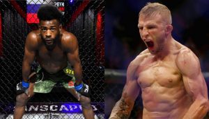 Aljamain Sterling, TJ Dillashaw