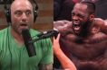 Joe Rogan Deontay Wilder