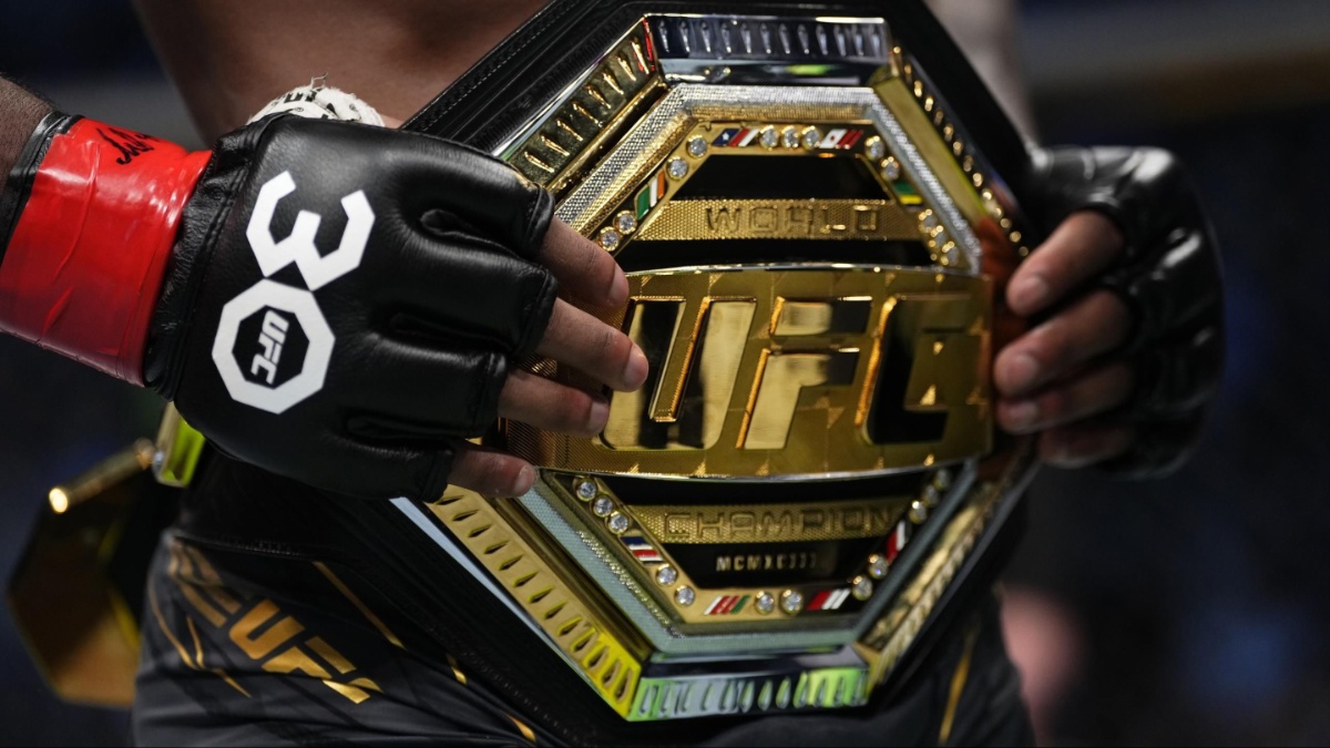 Predicting UFC champions at the end of 2024
