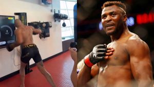 Alex Pereira, Francis Ngannou