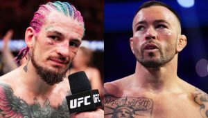 Sean O'Malley, Colby Covington