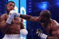 Daniel Dubois, KO, Anthony Joshua, Knockout, Boxing