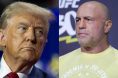 Donald Trump, Joe Rogan