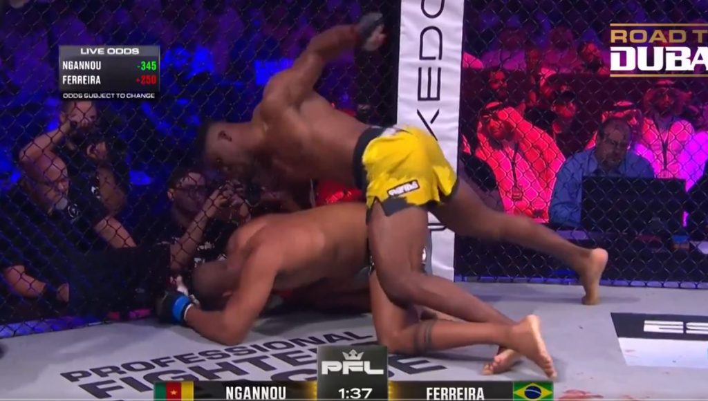 Francis Ngannou, Renan Ferreira, PFL, KO, Results