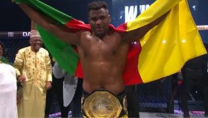 Francis Ngannou, Renan Ferreira, PFL, Pros react