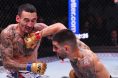 Ilia Topuria, Max Holloway, UFC 308