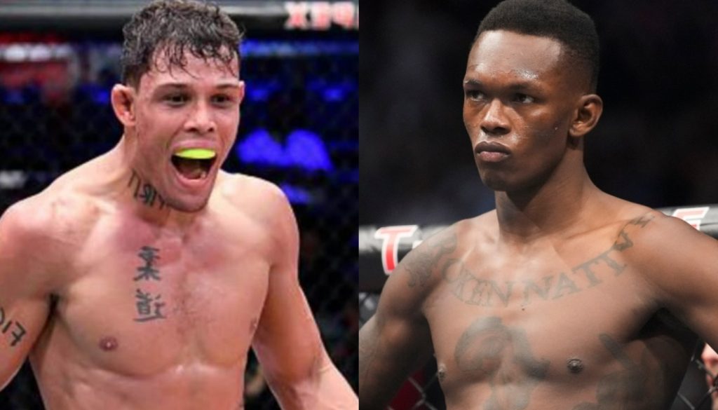 Caio Borralho, Israel Adesanya