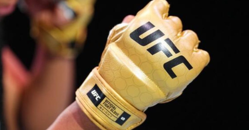 UFC gloves