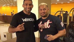 Fabricio Werdum, Mark Hunt