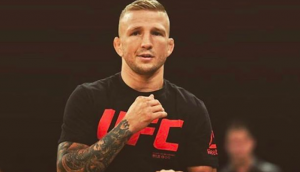 TJ Dillashaw, UFC 227